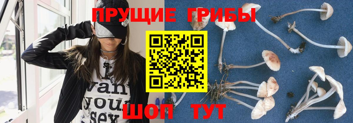 Галлюциногенные грибы мухоморы Усолье-Сибирское